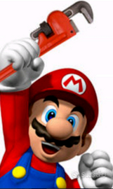 Idraulico referenziato