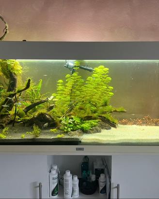 Acquario JUWEL 240