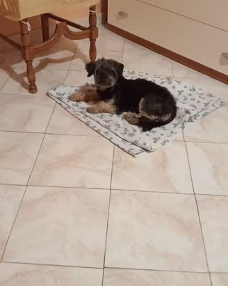 Appartamento ammobiliato