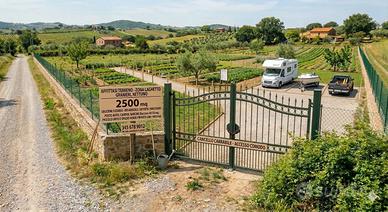 Nettuno - Terreno recintato (Varie Metrature)