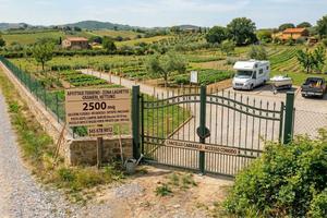 Nettuno - Terreno recintato (Varie Metrature)