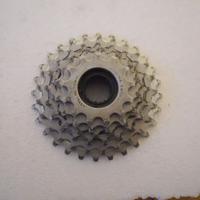 pignoni regina dentature dal 21 al 28 max