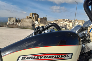 Harley davidson sportster 1200