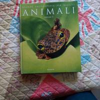 Enciclopedia dei Ragazzi