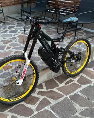 Bicicletta elettrica ebike