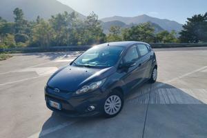 Ford Fiesta Ikon Gpl 5porte