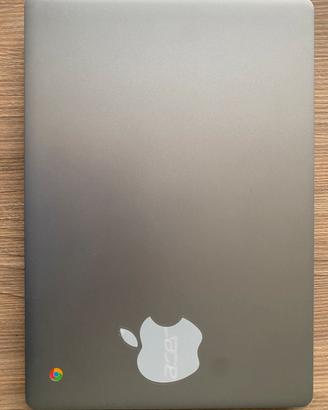 Acer chromebook 314