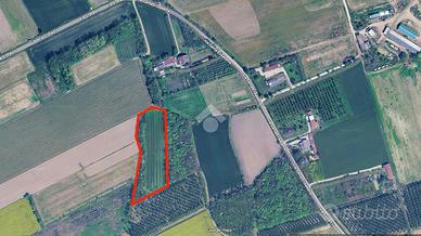 TER. AGRICOLO A MORSANO AL TAGLIAMENTO
