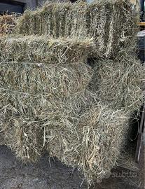 Fieno per Orto