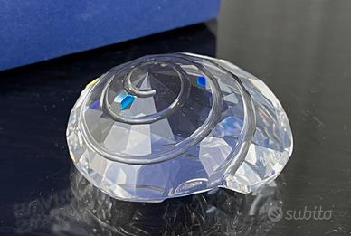 Swarovski conchiglia da collezione