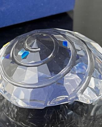 Swarovski conchiglia da collezione