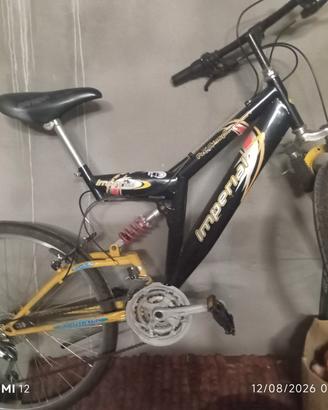 bicicletta 