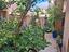 Immagine 24