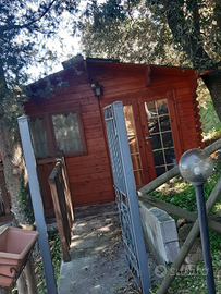 Monolocale e bilocale