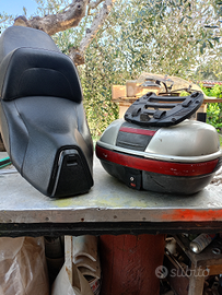 Sella e baule majestic 250