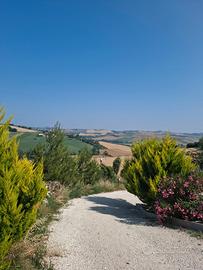 Terreno agricolo con Struttura Cinofila
