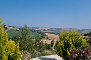 Terreno agricolo con Struttura Cinofila
