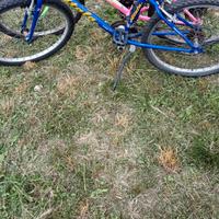  N. 2 bici ragazzo e ragazza