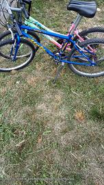  N. 2 bici ragazzo e ragazza