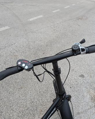 bicicletta elettrica 