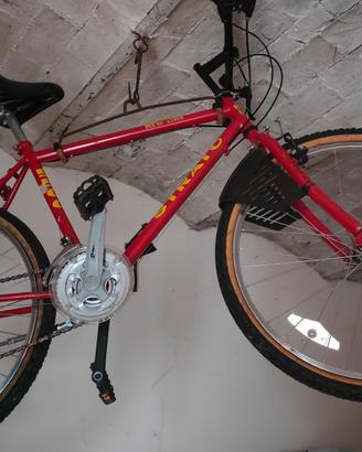 Mountain bike Strato