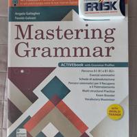 Mastering Grammar
