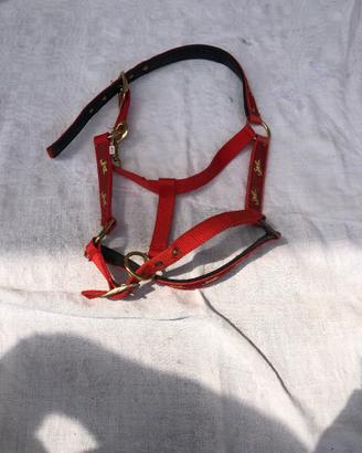 Briglia Rossa