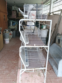 Gabbia allevamento conigli