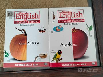 visual English dizionario illustrato 