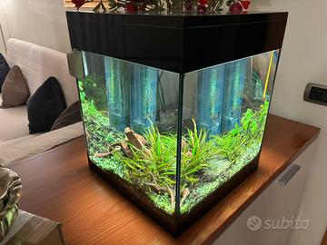 Askoll Pure M Led Nero Acquario Verticale 44