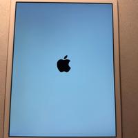 iPad di 7ª generazione