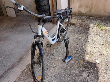 Bicicletta elettrice