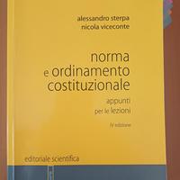 Norma e ordinamento costituzionale