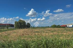 TERRENO A ALFIANELLO