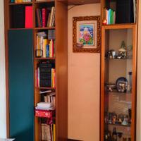 Armadio libreria Molteni