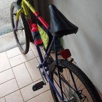 Bicicletta da ragazzo
