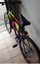 Bicicletta da ragazzo
