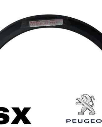 MODANATURA ARCO RUOTA POSTERIORE SX PEUGEOT 2008 1