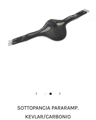 Sottopancia scudo