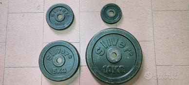 Pesi per manubri e bilancieri