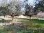 Immagine 27