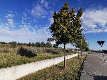 TER. RESIDENZIALE A MALALBERGO