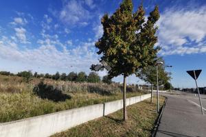 TER. RESIDENZIALE A MALALBERGO