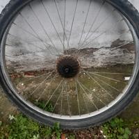 ruota 26 mtb