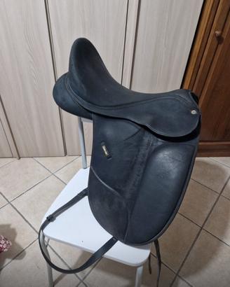 Wintec Isabell Werth: sella dressage mis 18