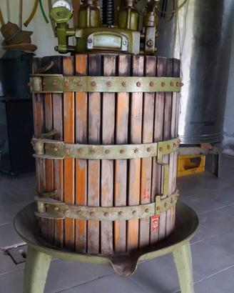 torchio