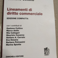 Lineamenti di diritto commerciale