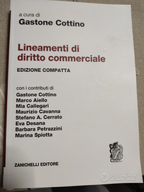 Lineamenti di diritto commerciale