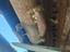 Immagine 6