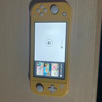 Nintendo switch lite